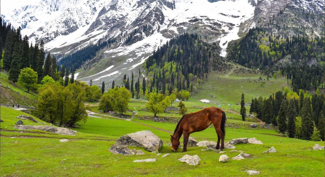 Sonamarg