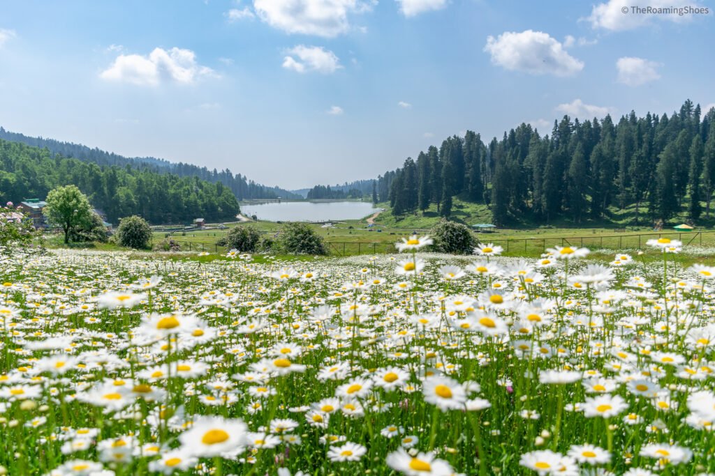 Yusmarg